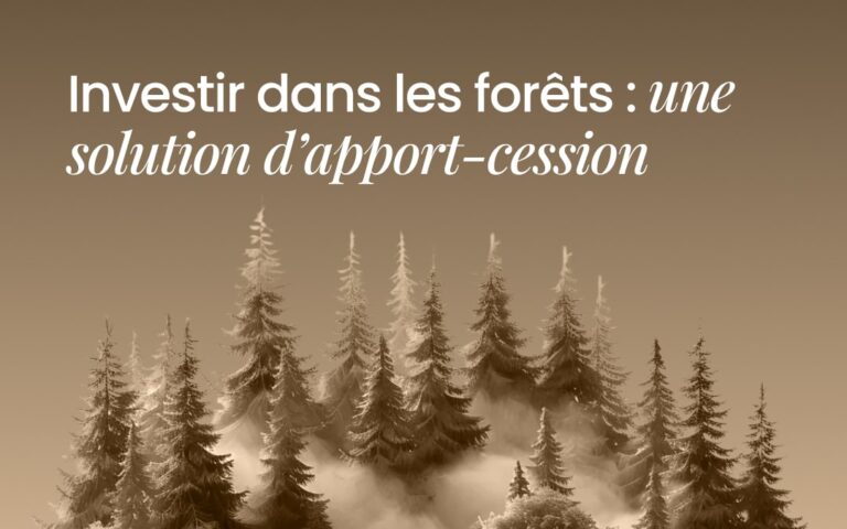 Investir dans les forêts : une solution pertinente pour votre réinvestissement d’apport-cession