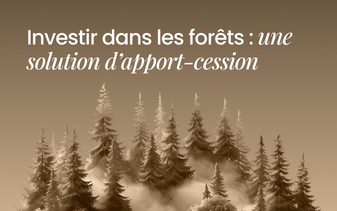 Investir dans les forêts : une solution pertinente pour votre réinvestissement d’apport-cession